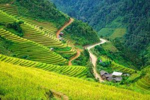 Tour Mù Cang Chải mùa lúa chín 4 ngày 3 đêm từ TP.HCM 2025