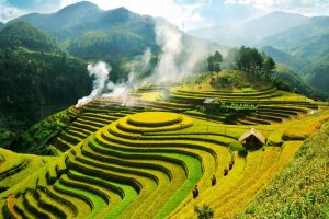 Tour Mù Cang Chải mùa lúa 4 ngày 3 đêm từ TP.HCM - Quốc khánh 2/9