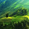 Mai Châu - Mộc Châu - Cầu Kính 3N2D (2 đêm ngủ homestay)