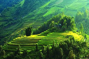 Mai Châu - Mộc Châu - Cầu Kính 3N2D (2 đêm ngủ homestay)