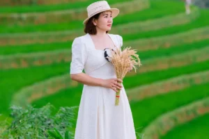 Trải nghiệm ruộng bậc thang trong chuyến du lịch – ảnh minh họa đoàn khách